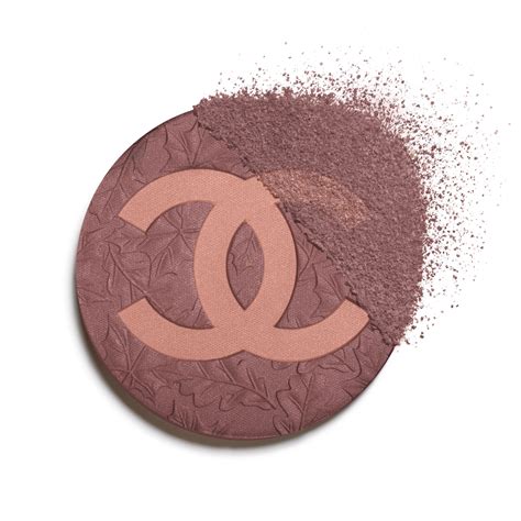 chanel blush so close douglas|Chanel blush.